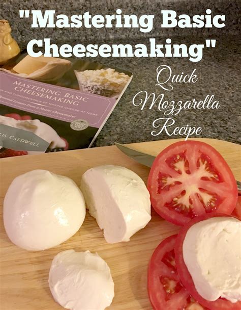 Mastering Basic Cheesemaking | Cheese recipes homemade, Milk recipes ...