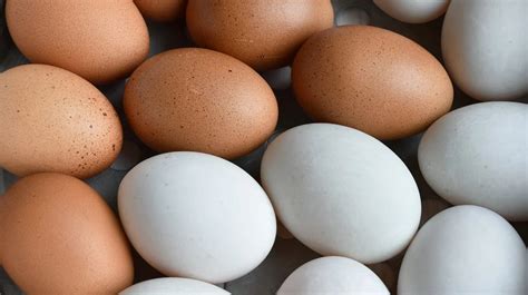 Duck Eggs vs. Chicken Eggs: Nutrition, Benefits, and More