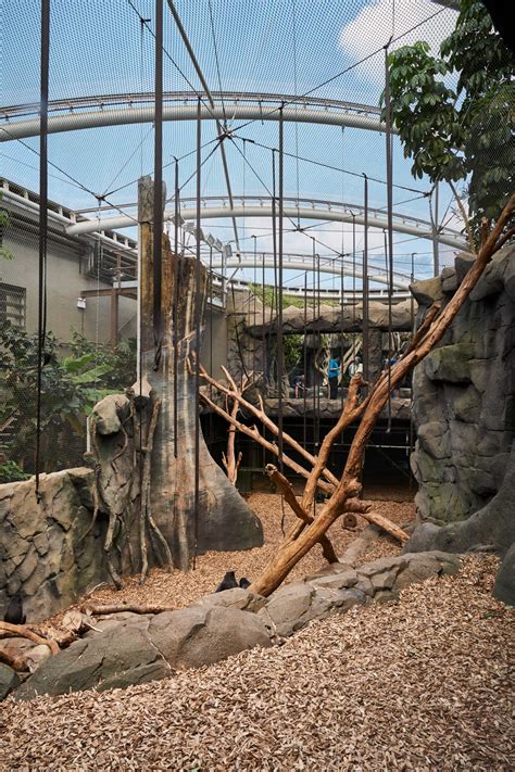 Gallery - Animal Enclosures