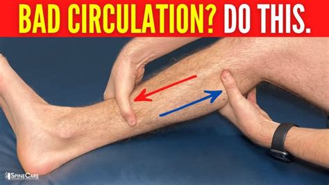Optimal Exercises for Poor Leg Circulation - fabulousfidgetstore.com
