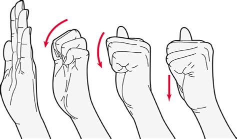 Exercises for the fingers, hands and wrists | Versus Arthritis