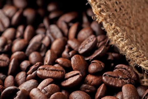 Ceylon Arabica Coffee Beans Best Quality World Class Coffee | Etsy