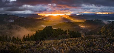 Morning Sun Under Clouds in Tillamook State Forest, Oregon [OC] [10470x4908] : r/EarthPorn