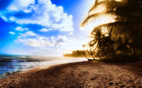 Sunny Wallpapers - Wallpaper Cave