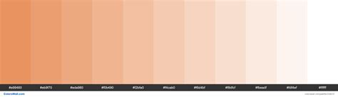 Apricot Crush colors palette - ColorsWall