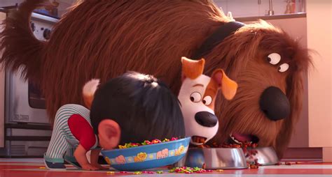 ‘The Secret Life of Pets 2’ Review: A Silly and Sweet Sequel | IndieWire