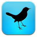 Bird,Silhouette,Beak,Raven,Crow,Boat tailed Grackle,Crow-like bird ...