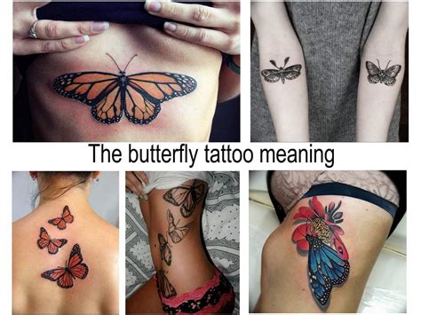 The butterfly tattoo meaning - information about the features of the ...