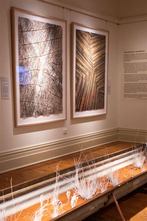 Landcare and the climate crisis explored in exhibition at Museum of the Riverina | The National ...