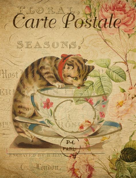 Cat Vintage French Postcard Free Stock Photo - Public Domain Pictures