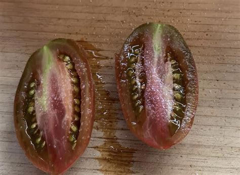 Ukrainian Purple Tomato seeds | Heirloom - Tim's Tomatoes