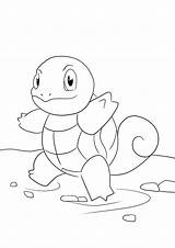 Squirtle Clipartmag Sketch Coloring Page sketch template