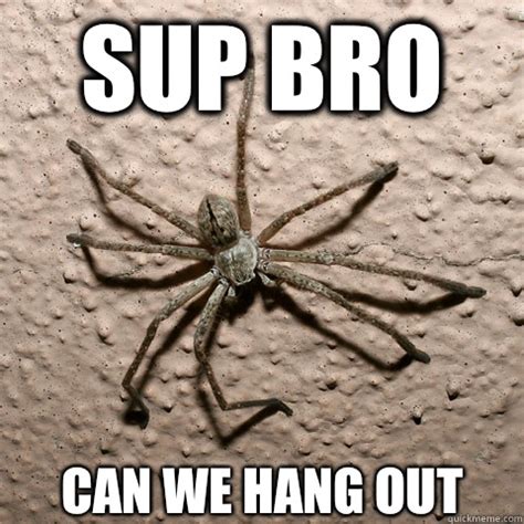 creepy spider memes | quickmeme