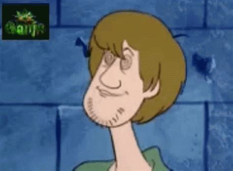 Shaggy Scooby Doo High