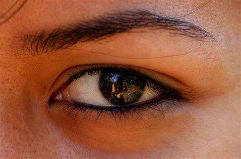 Why do different people have different coloured eyes? - The Hindu