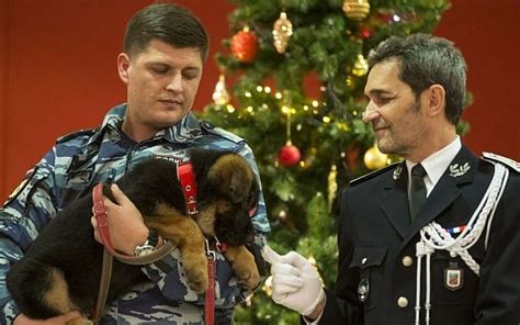 Russia gifts France a replacement for slain police dog | The Times of ...