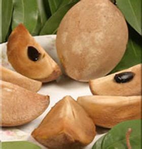 Sapodilla Recipes | tfgsf-2 | Tropical fruit recipes, Fruit recipes ...