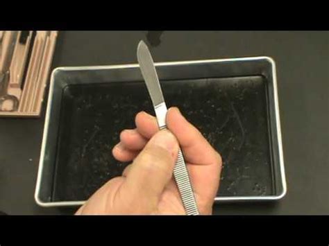 Dissection Tools - YouTube