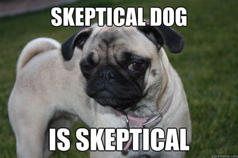 Skeptical Dog is Skeptical - Skeptical Pug - quickmeme