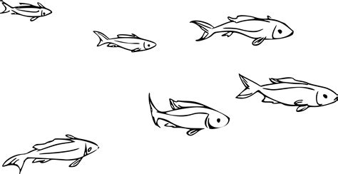 black and white minnow clipart 16 free Cliparts | Download images on ...