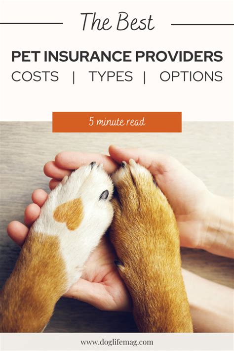 Shopping Pet Insurance For Dogs - Plans, Providers, Costs