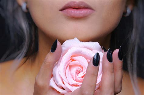 Woman Holding Pink Rose Flower · Free Stock Photo
