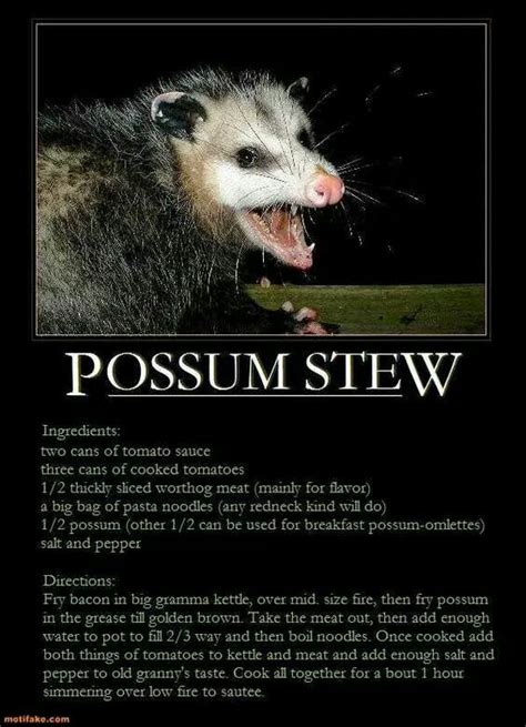 Pin by Ethel Doty on Possum Stew | Possum stew recipe, Stew recipes, Stew