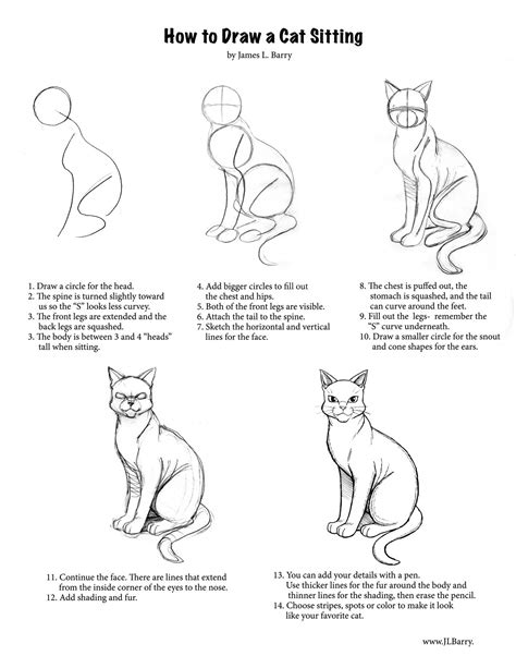 Funny cats: how to draw a cat