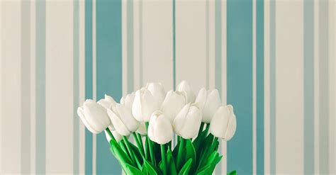 White Tulips in Blue Ceramic Vase · Free Stock Photo