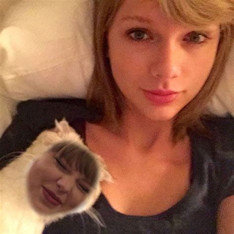 taylor swift has the cutest cat | Cute cat, Taylor swift, Cute