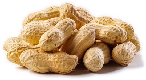 Jumbo Raw Peanuts in the Shell - By the Pound - Nuts.com