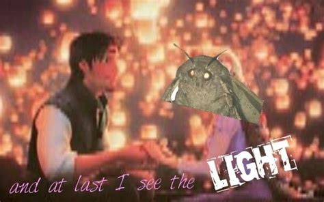 Moth meme tangled | Memes, Shrek aesthetic cute, Terrible puns