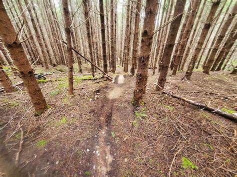 Out of the Blue Mountain Biking Trail - Parksville