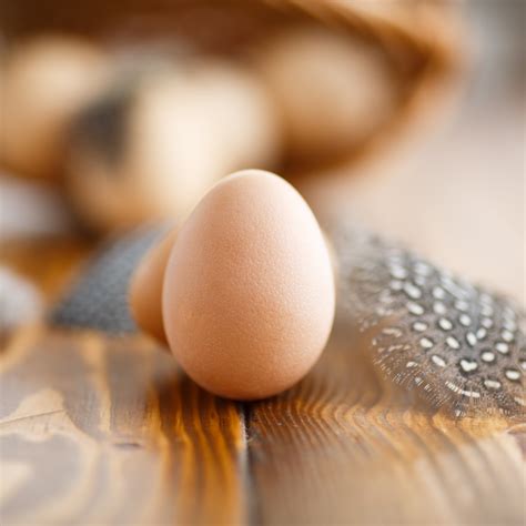 Guinea Fowl Eggs