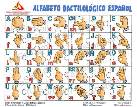 Alfabeto Dactilológico Español | Lengua de signos, Lenguaje de señas, Alfabeto de lengua de signos