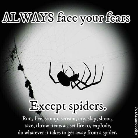 Fear of spiders | Spiders funny, Make me laugh, Laugh out loud