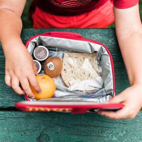 Your Food Safety Guide to Packing a Lunch Bag | Hungry for Truth