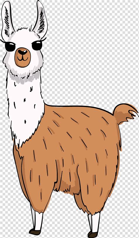 Alpaca Images Cartoon This is my new work and i hope you like it