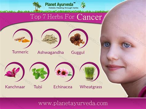 Top 7 Herbs for Cancer in Ayurveda