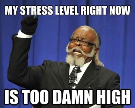 53 Best Stress Meme That Might Make You Laugh - Meme Central