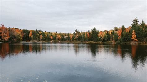 Fall Colors in Marquette, Michigan: A Local's Guide — Em's On The Road