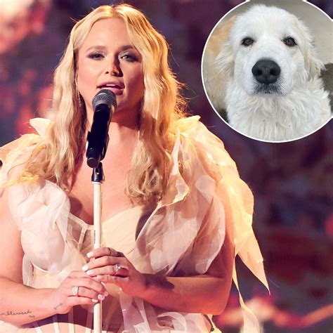 Miranda Lambert Mourns Death of Her Dog Thelma in Moving Tribute | 1 News Media