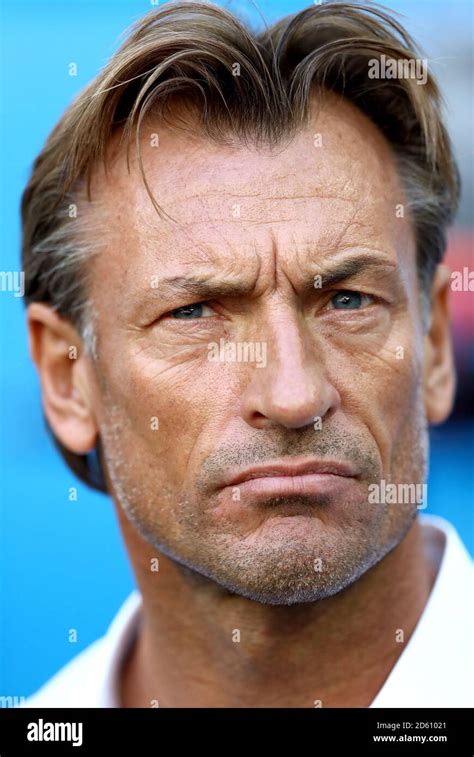 Morocco manager Herve Renard Stock Photo - Alamy