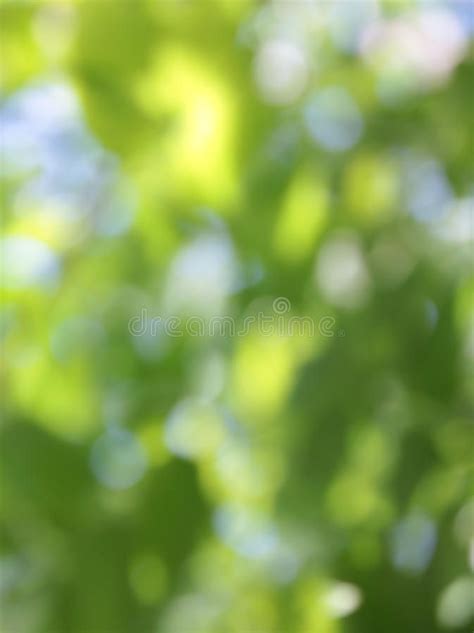 Green Blurred Leaf Background