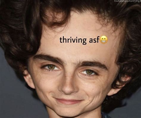 Creds To The Watermark Response Memes Timothee Chalamet Memes | Hot Sex ...