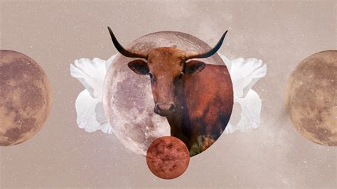 Taurus Monthly Horoscope for July 2023 — Read Your Sign's Love and Career Predictions | Allure