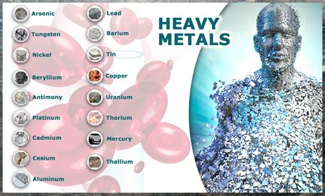 How Heavy Metal Toxicity Can Ruin Your Health | Heavy metal detox, Metal detox, Heavy metal