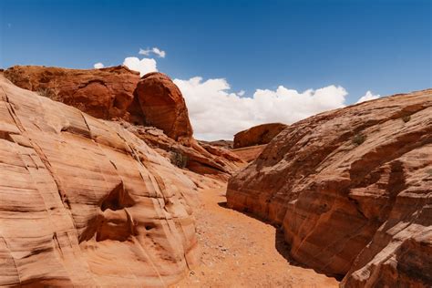 Fire Wave Trail: Must-Do Hike in the Valley of Fire State Park