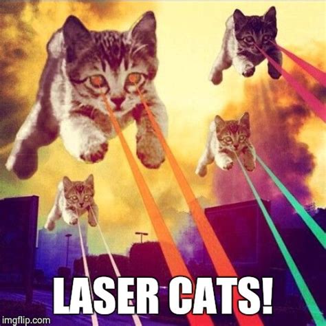 Laser Cats - Imgflip