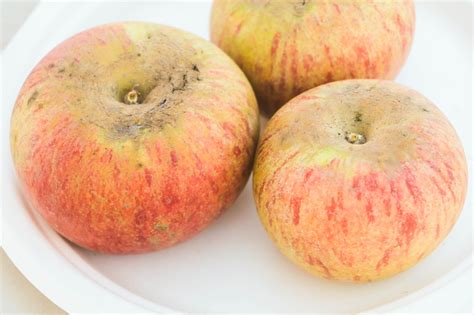 Cox’s Orange Pippin apple | California Rare Fruit Growers